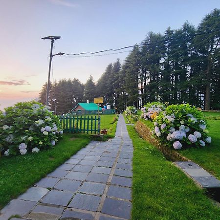 Forest Vibes Kalatop-Rooms And Restaurant Далхаузі Екстер'єр фото