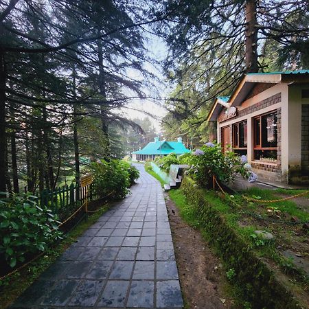 Forest Vibes Kalatop-Rooms And Restaurant Далхаузі Екстер'єр фото