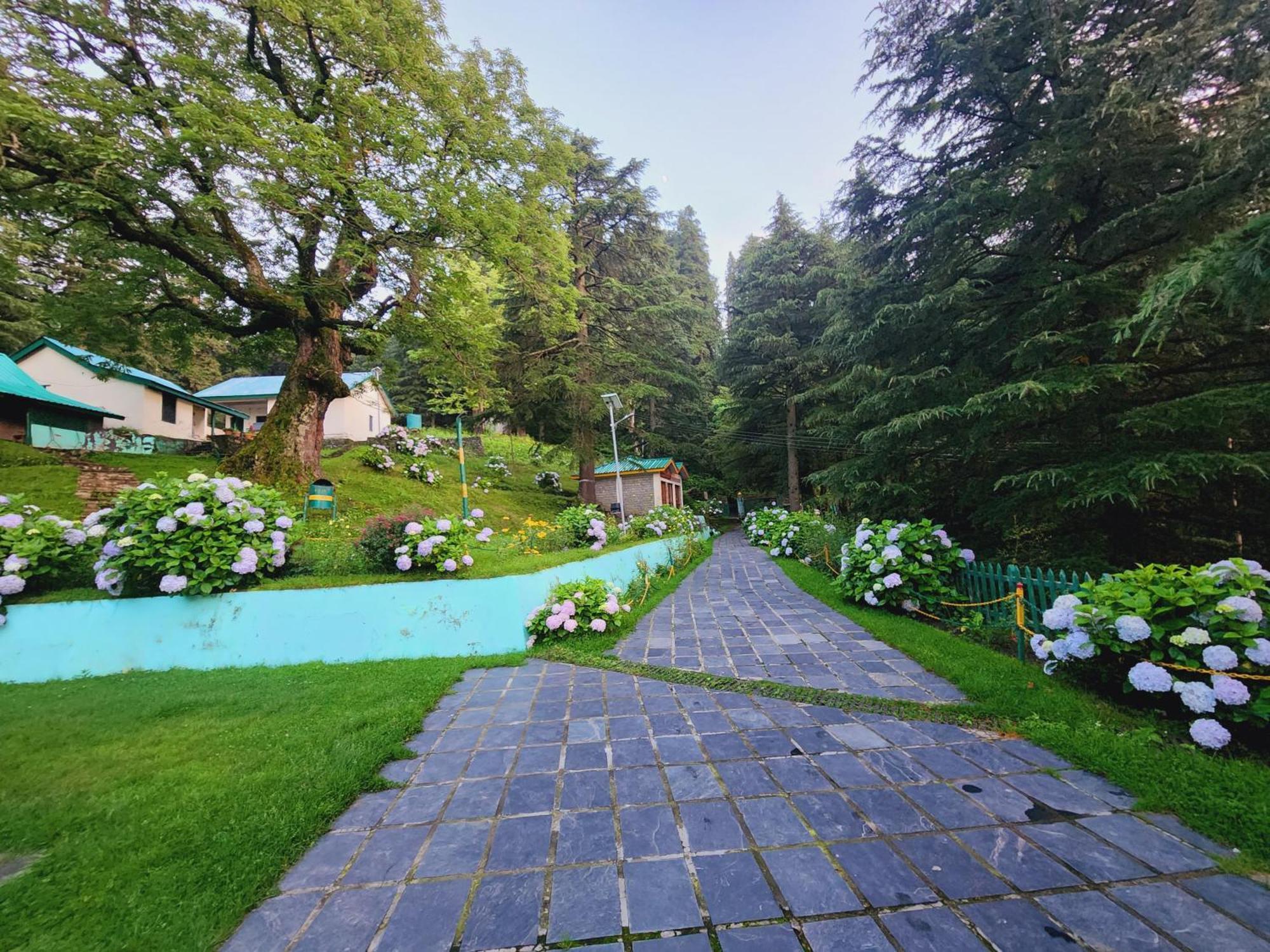 Forest Vibes Kalatop-Rooms And Restaurant Далхаузі Екстер'єр фото