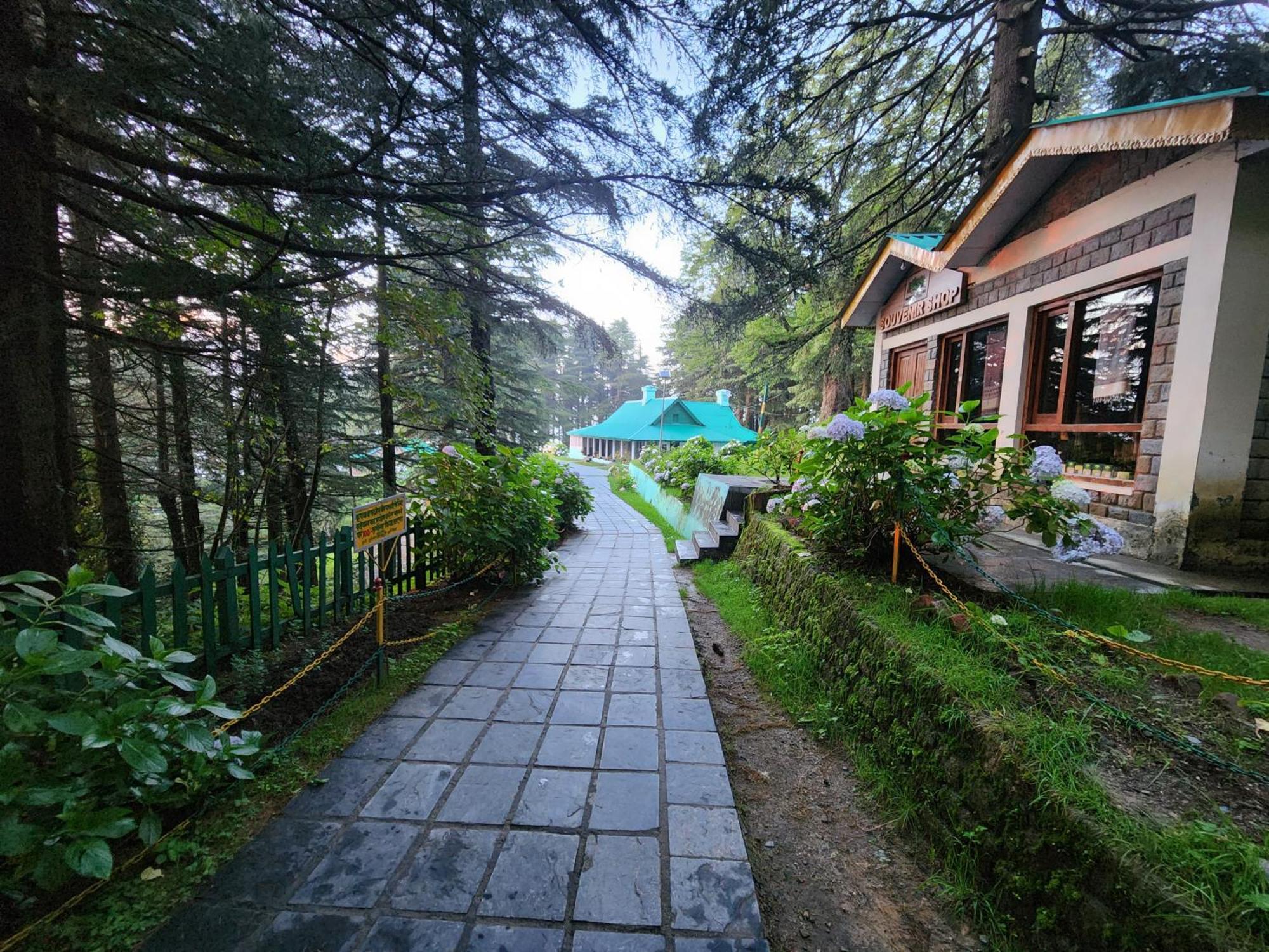 Forest Vibes Kalatop-Rooms And Restaurant Далхаузі Екстер'єр фото