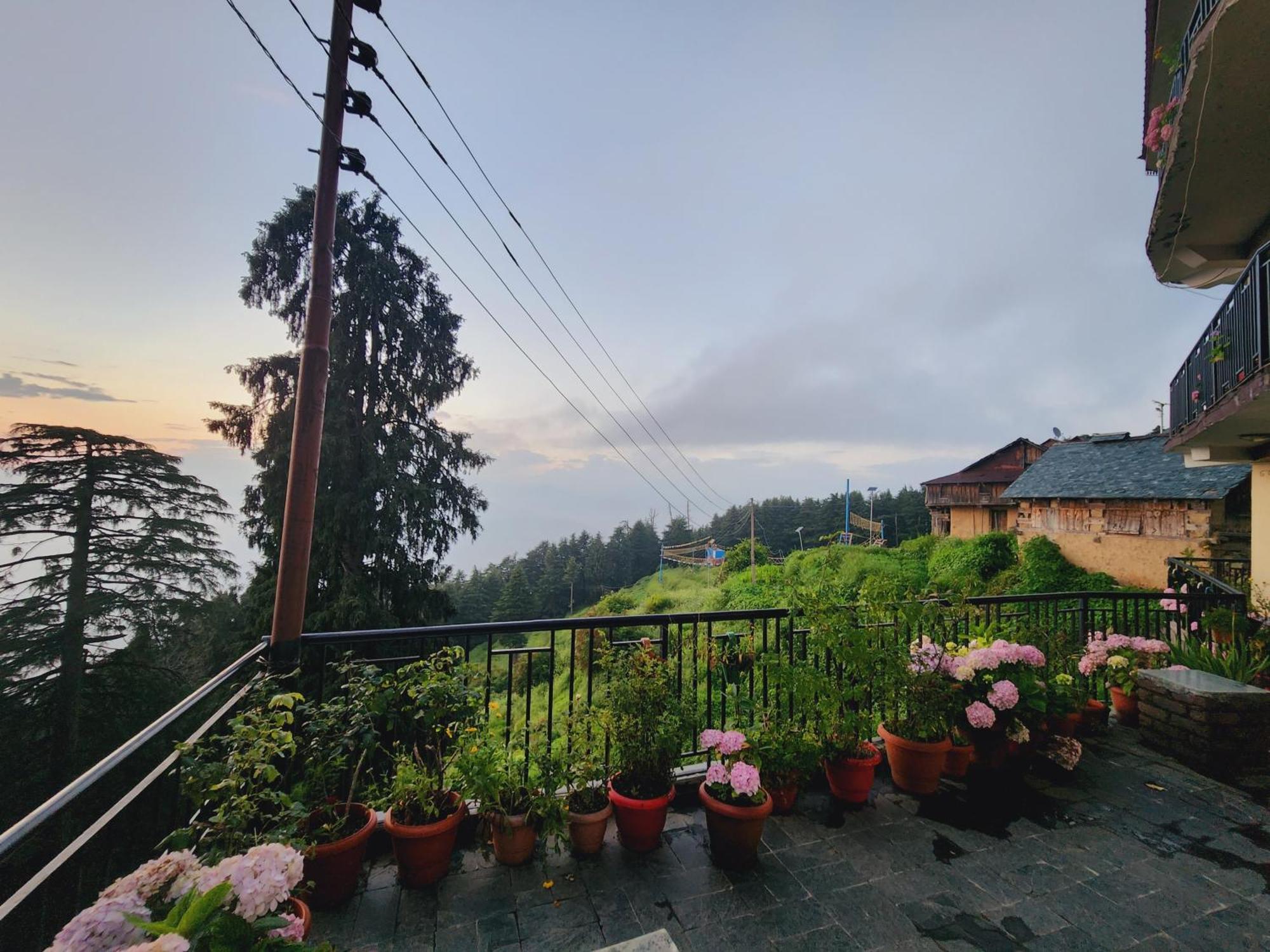 Forest Vibes Kalatop-Rooms And Restaurant Далхаузі Екстер'єр фото