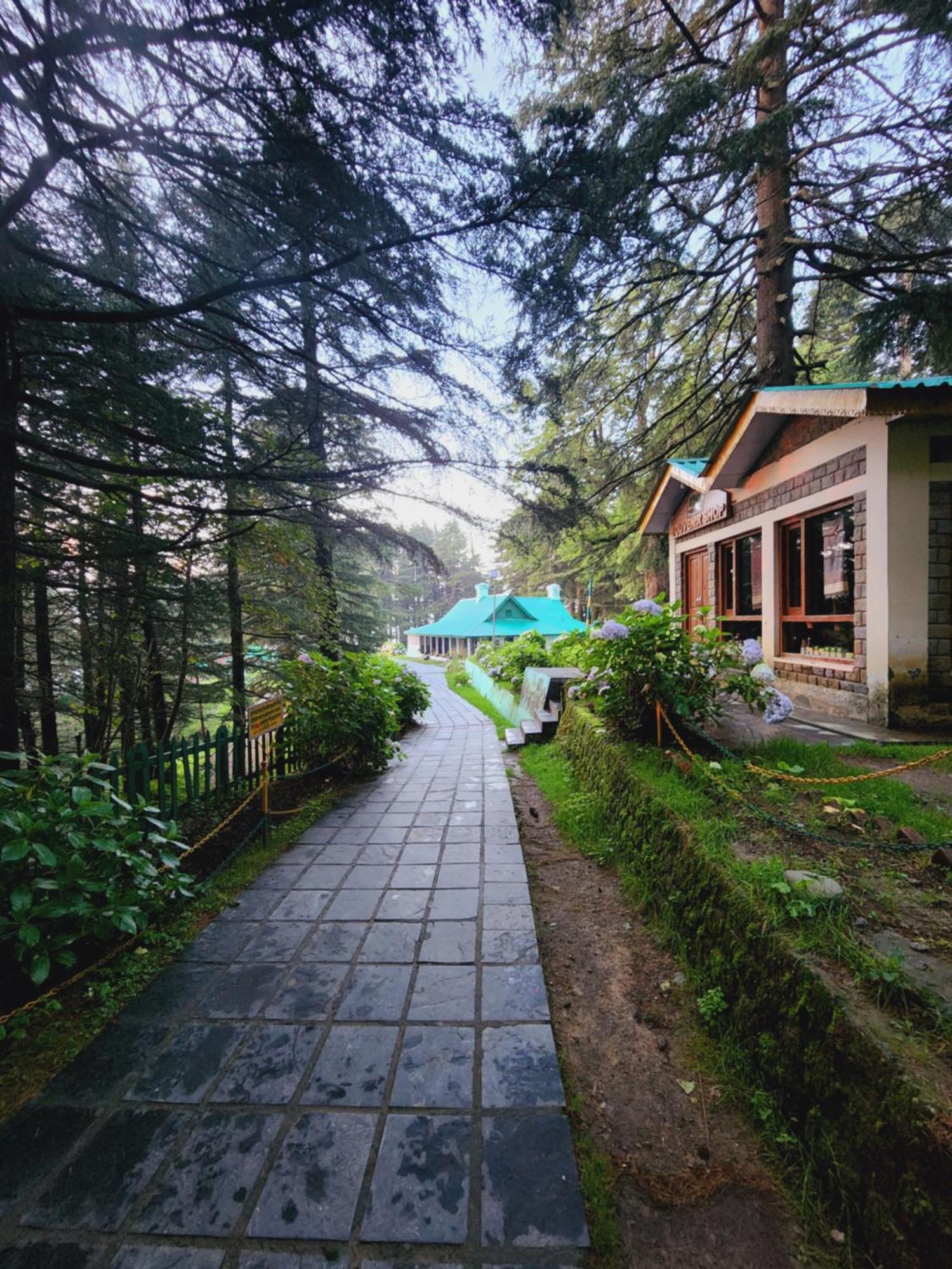 Forest Vibes Kalatop-Rooms And Restaurant Далхаузі Екстер'єр фото